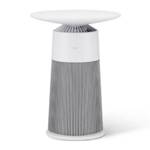 LG PuriCare™ AeroFurniture (Essence White)